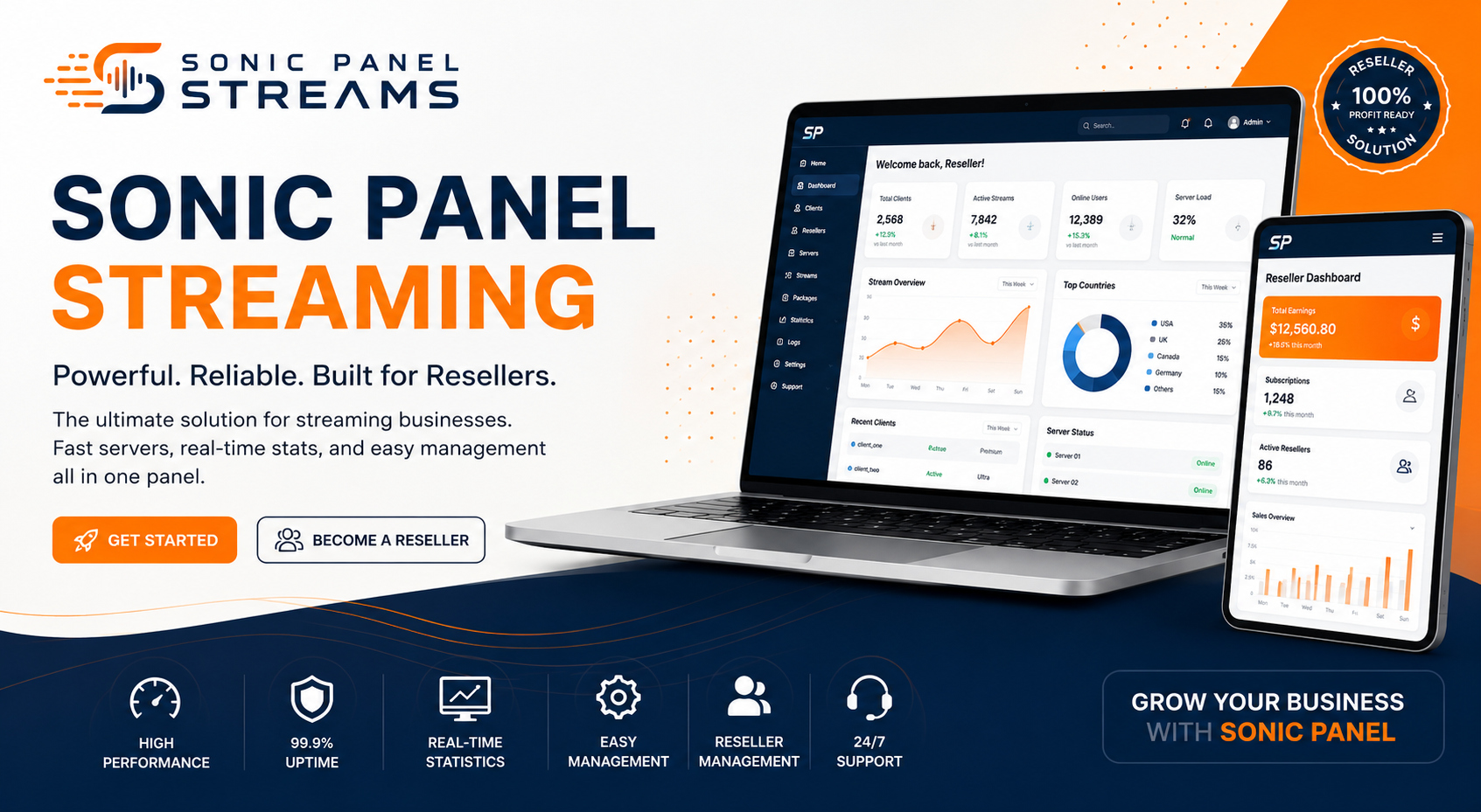 About <span class="accent">Sonic Panel Streams</span>